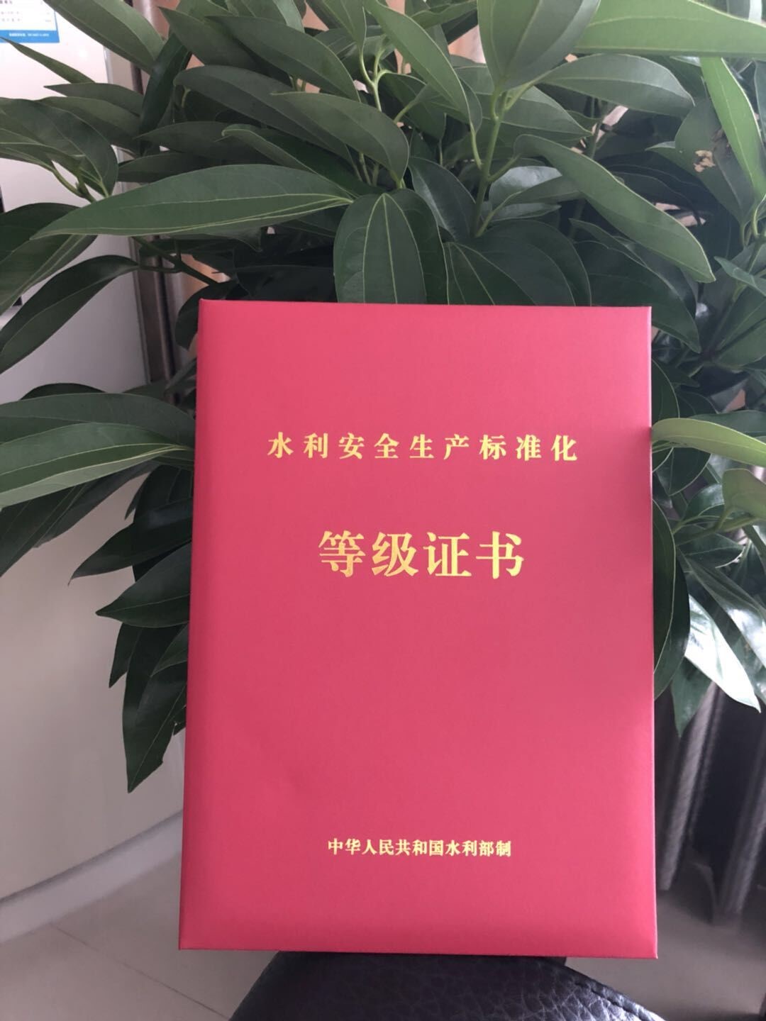 图片要害词 图片要害词