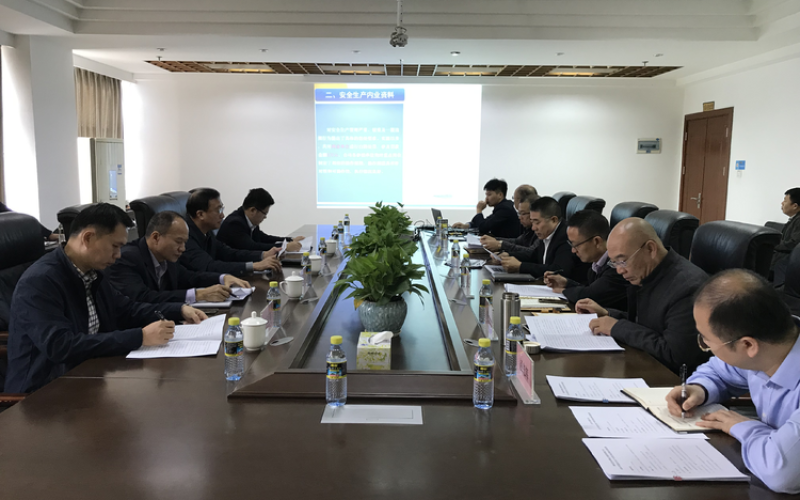 海南控股党委委员、副总司理吴卫彬带队 到70net永乐高集团开展2019年度清静生产 审核事情