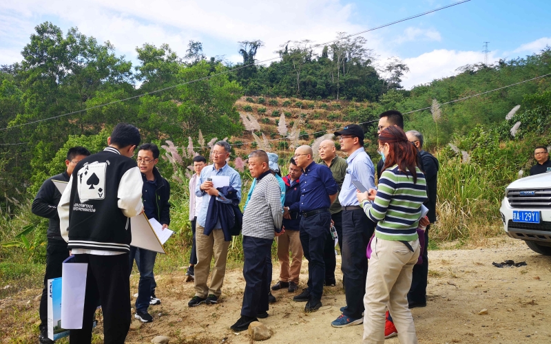 昌化江水资源设置工程可行性研究报告及相关专题评审会顺遂召开