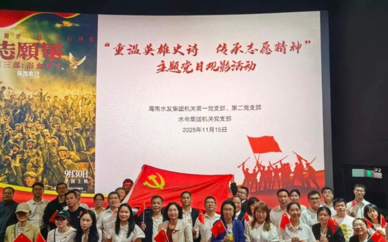 “重温英雄史诗，，，传承自愿精神”海南水发组织开展主题党日观影活动