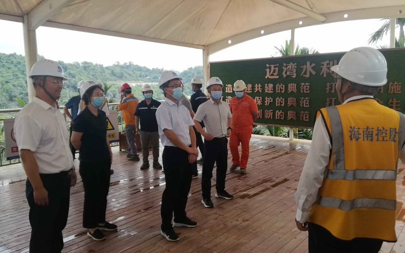海南控股深入一线检查指导70net永乐高集团工程项目建设