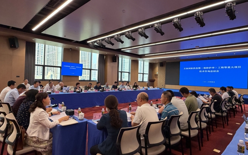 万泉河防洪治理（堤防护岸）工程等重大项目手艺咨询会顺遂召开